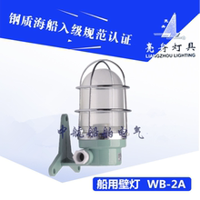 上海亮舟船用防水白炽壁灯WB-2A 220V8W/60W壁式安装IP56灯座FE26