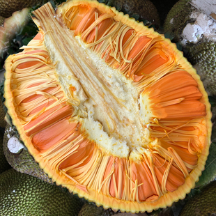 1#—20#拍这里【半个装熟果收货能吃】正宗印尼红肉菠萝蜜