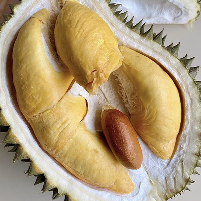 阿甘甄选【尖竹汶2号榴莲金蜜王】泰国小品种榴莲新鲜干苞黄肉