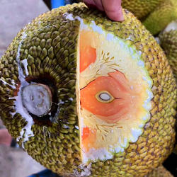 【阿甘甄选】正宗印尼红肉菠萝蜜干苞新鲜水果红肉木菠萝