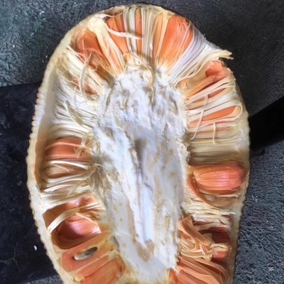 21#--40#拍这里【半个装熟果收货能吃】正宗印尼红肉菠萝蜜脆甜