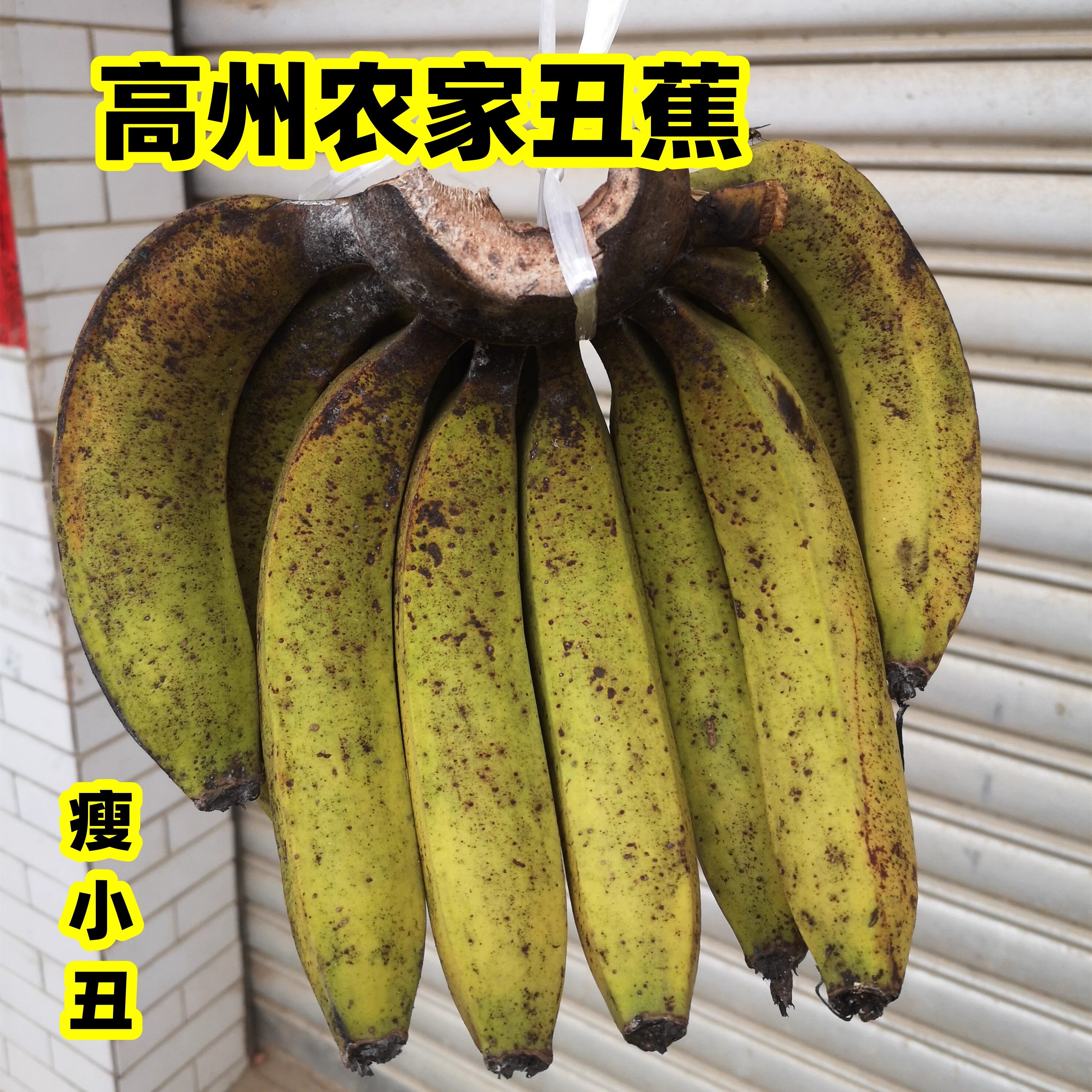 无农药不用化肥保鲜剂催熟剂新鲜现摘半野生甜糯广东高州丑香蕉,水产肉类/新鲜蔬果/熟食,香蕉,淘宝优惠券,粉丝福利购,淘宝优惠卷