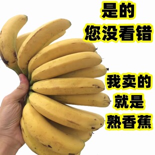 不泡药无保鲜剂无催熟剂广东高州遁地雷快速自然熟九成熟青香蕉