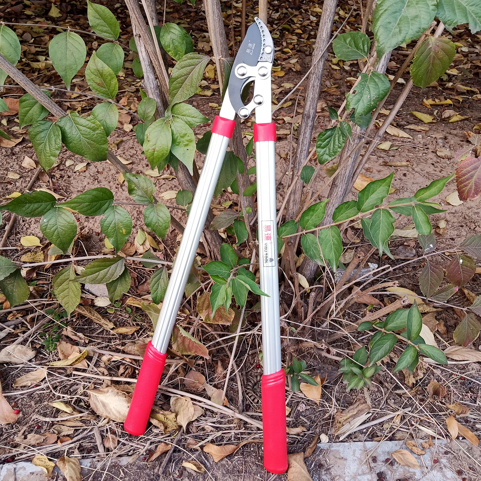 易速果树修枝剪力士剪树枝剪子省力剪园林园艺剪枝剪刀花枝剪包邮