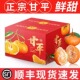 新鲜甘平柑橘皇后当季 顺丰 包邮 现摘水果10斤商超品质耙耙柑粑粑橘