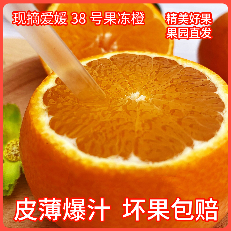 现摘四川红美人柑橘丹棱爱媛38号