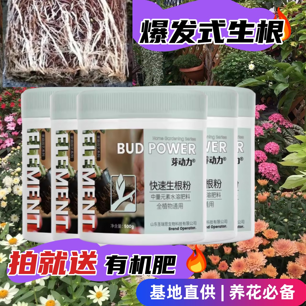 快速生根粉水溶肥芽动力图片