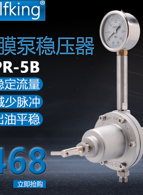 涂料减压阀气动隔膜泵稳压器PR-5B不锈钢稳压阀油漆流量调节阀