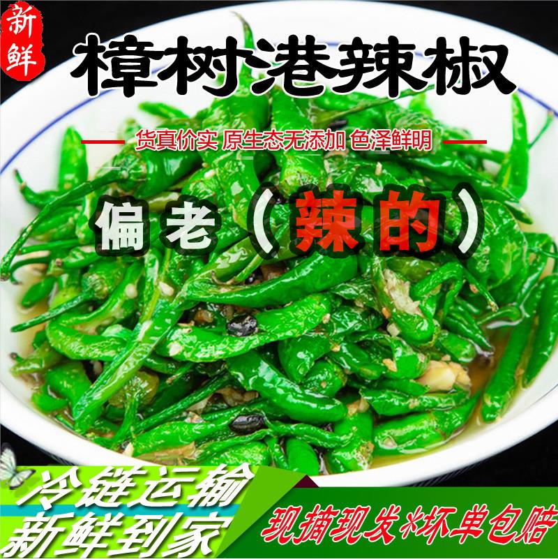 偏老辣的正宗樟树港辣椒现摘新鲜食用薄皮青椒湖南辣椒炒肉椒包邮