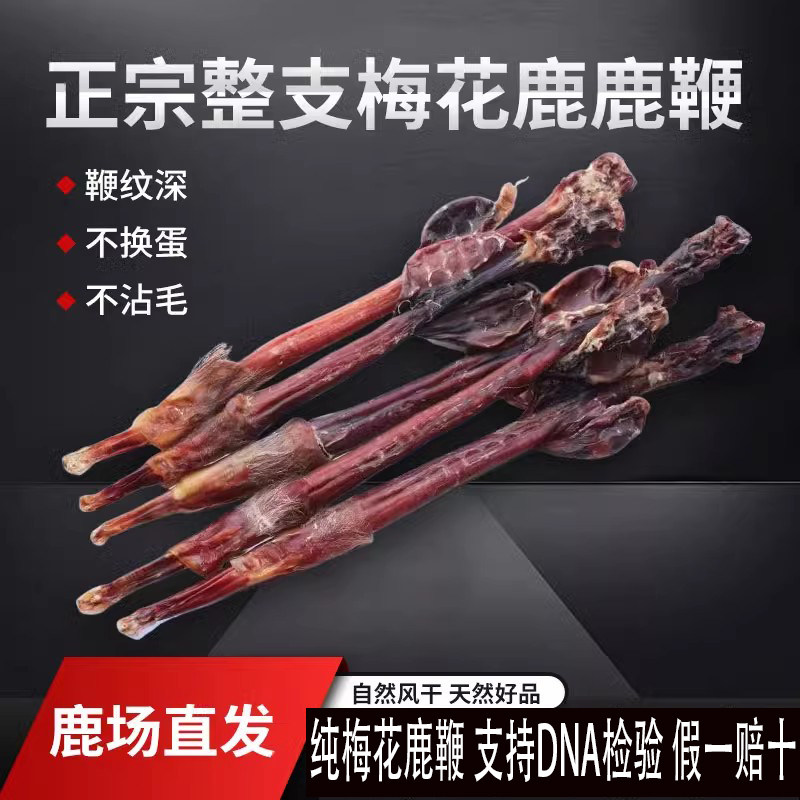 梅花鹿鹿鞭足干鹿鞭泡酒材鹿鞭干整根正品礼盒自然风干吉林梅花鹿,传统滋补营养品,鹿制膏/鹿制品,淘宝优惠券,粉丝福利购,淘宝优惠卷