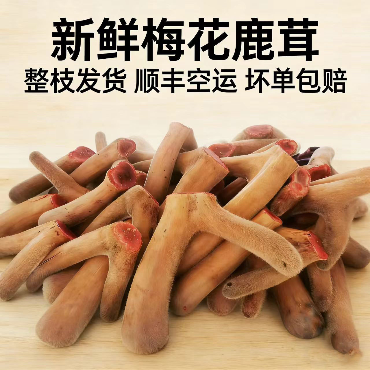 吉林新鲜梅花鹿茸整根泡酒专用煲汤整枝头茬二杠嫩中药材带血礼盒