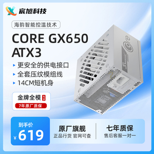 Seasonic 海韵 新款CORE系列GX650金牌全模台式机箱ATX3白色