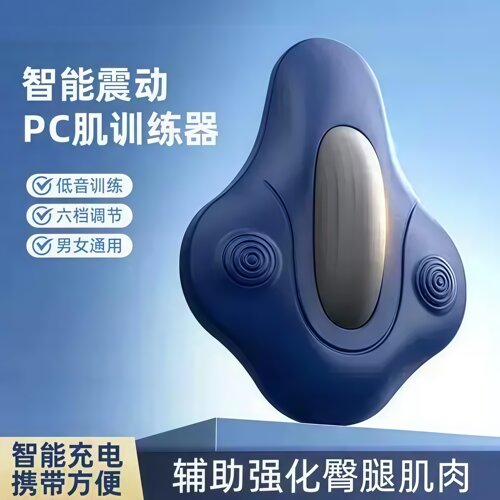 鼎泰充电式凯格尔训练器电动PC肌训练器男女家用腰臀盆底锻炼辅助