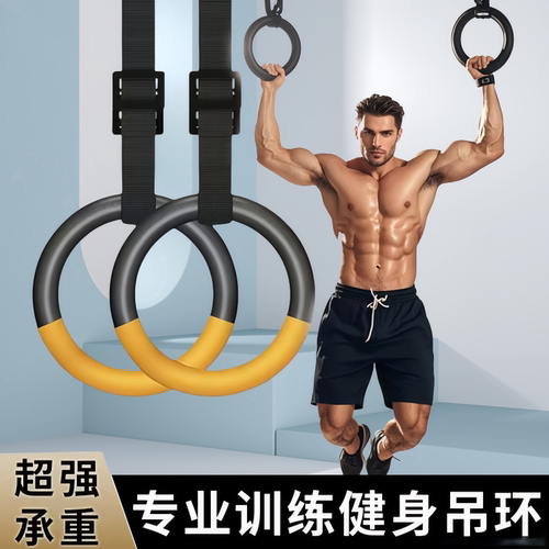 健身吊环室内训练器材家用成人引体向上多功能单杠男核心肌群训练