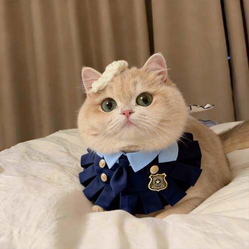 猫咪衣服围脖口水巾小配饰宠物围巾小猫围兜领结装扮披肩0824k