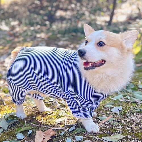 泰迪比熊柯基柴犬狗狗衣服春夏款四脚衣条纹薄款防掉毛防脏0824k