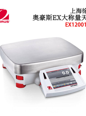 全新正品日本原装OHAUS奥豪斯EX大称量天平EX12001ZH/24001/35001