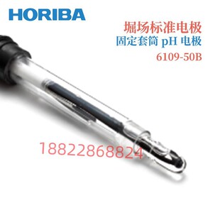 6109 日本HORIBA堀场PH电极6110 50B 6108 6152 6151