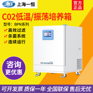 大型二氧化碳振荡培养箱实验室 100CS 上海一恒 C02低温培养箱BPN