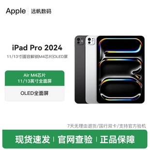 苹果 13英寸国行正品 iPadPro M4芯片平板电脑发票 2024款 Apple