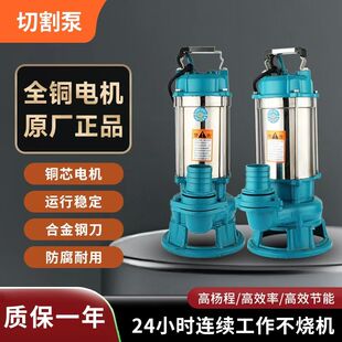 水泵抽粪泥浆泵养殖场淤泥鱼塘化粪池家用220排污泵纯铜德国品质