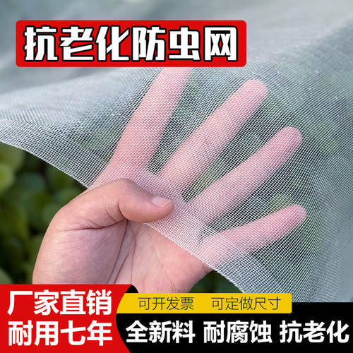 防虫网尼龙网农用大棚加厚
