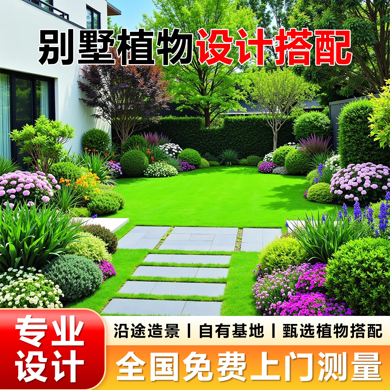 花镜绿植亮晶女贞棒棒糖庭院植物