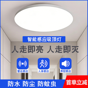 感应灯楼梯三防吸顶灯过道楼道走廊人体雷达入户门自动LED声控灯