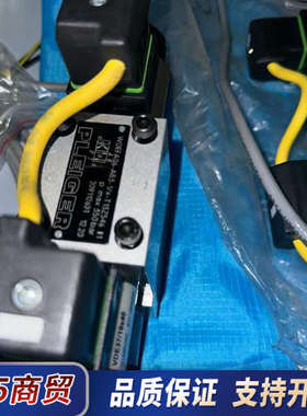 WDEFA06-AB3-1/x-T13Z546 PLEIGE议价