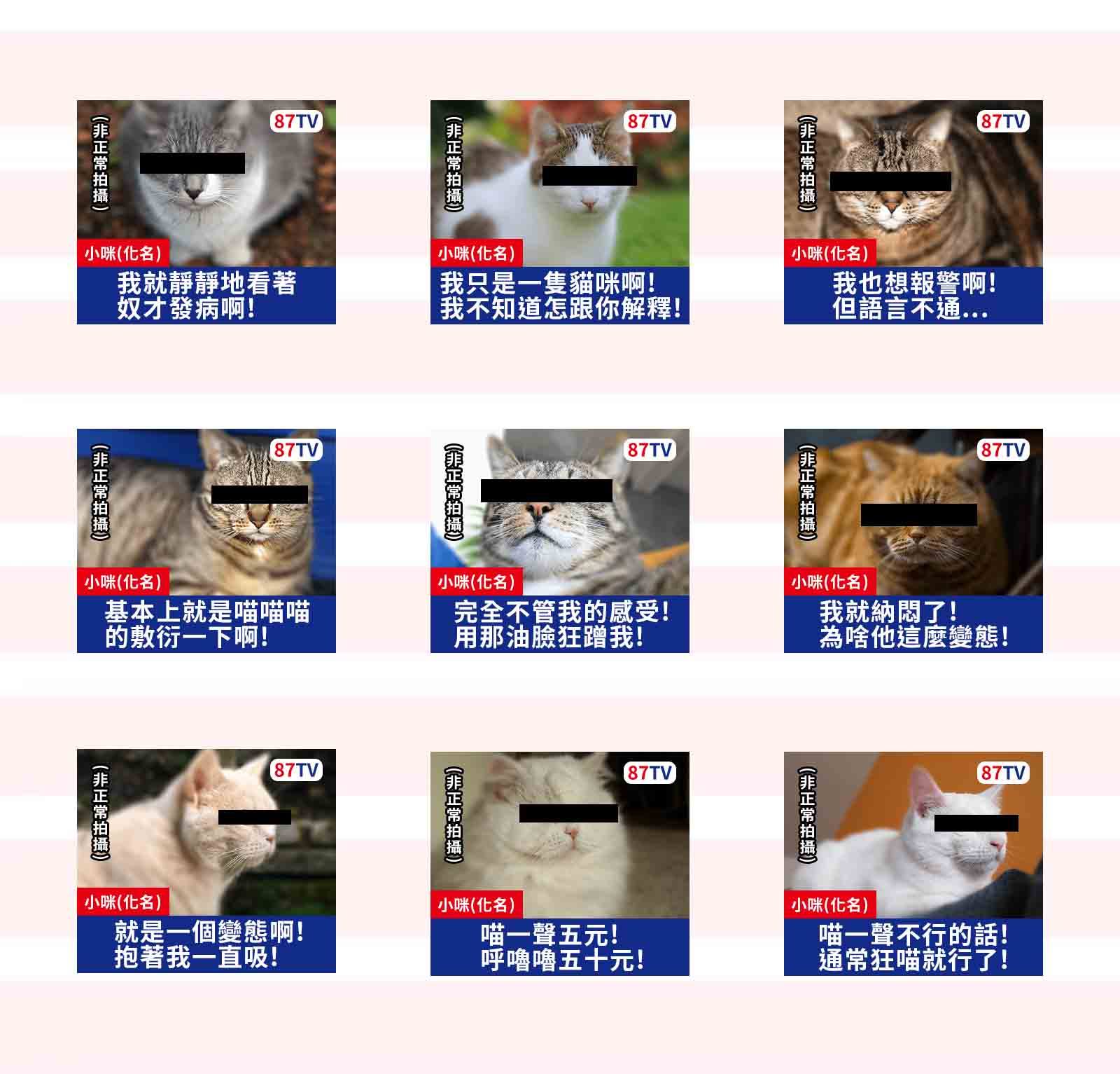 kuso搞怪风 吸猫可爱猫咪 自制手帐贴纸 40枚入
