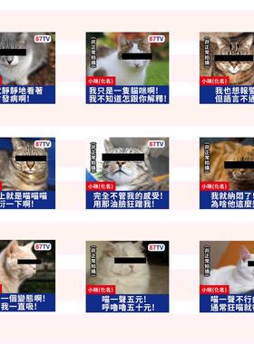 强推！kuso搞怪风 吸猫可爱猫咪 自制手帐贴纸 40枚入