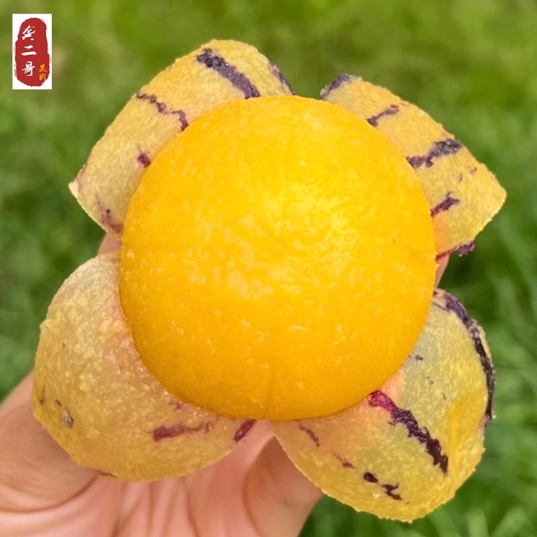 顺丰包邮新鲜树熟人参果黄肉圆果