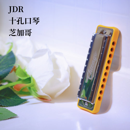 嘉德瑞十孔口琴芝加哥