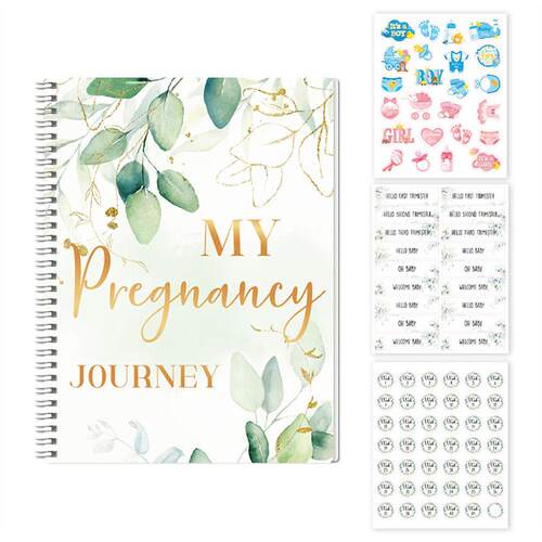 MY Pregnacy JOURNEY我的怀孕之旅日记Pregnant planner diary