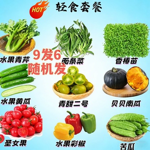 新鲜果蔬组合装套菜蔬菜水果黄瓜彩椒水果青芹菌菇套装秋葵礼盒