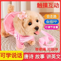 Тедди -порошок темно -синий