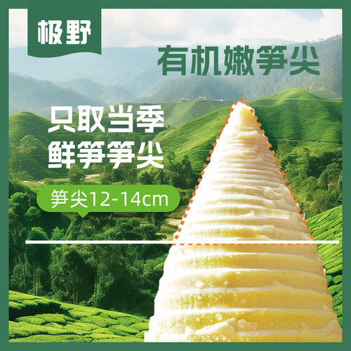 极野有机嫩笋尖只取当季鲜嫩笋尖