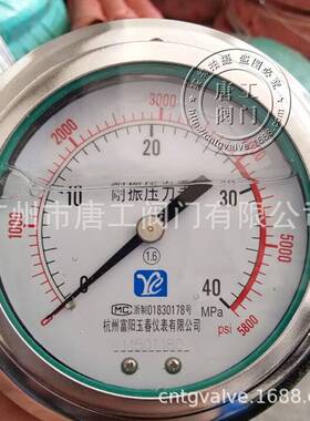 厂家直供YTN-100ZT轴向抗震带前边压力表 不锈钢耐震压力表径向