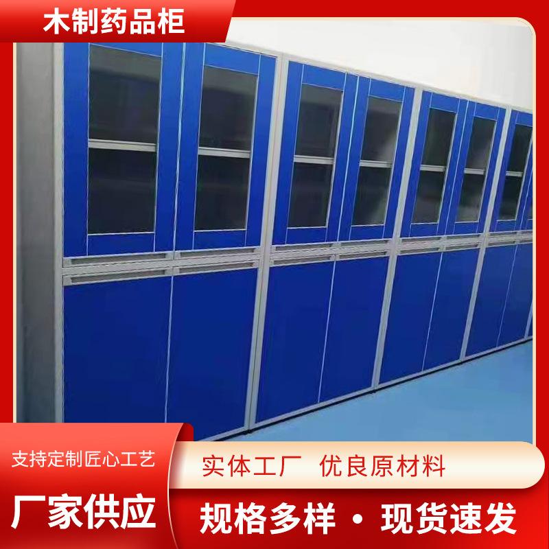 实验室pp试剂柜 化学品试剂器皿柜 药品仪器存储柜钢制双锁柜子图片