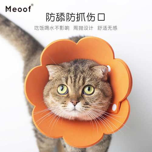 meoof太阳花伊丽莎白eva海绵猫咪