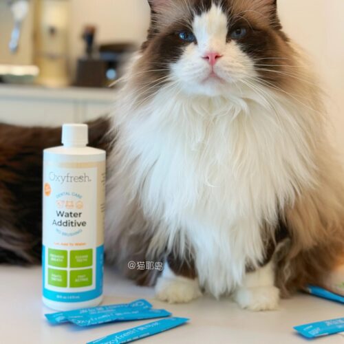 Oxyfresh奥可亲犬猫通用洁齿水
