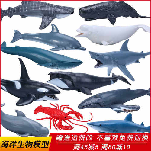 仿真海洋生物玩具动物模型
