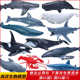 儿童玩具仿真海洋动物海底生物模型大白鲨鲨鱼鲸鱼抹香鲸虎鲸螃蟹