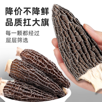 头茬【精品】羊肚菌5-7厘米送礼佳品煲汤食材无薰无硫汤鲜味美