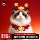 饰品宠物过年喜庆头饰套装 猫咪招财元 宝帽新年帽子财神帽红色金装