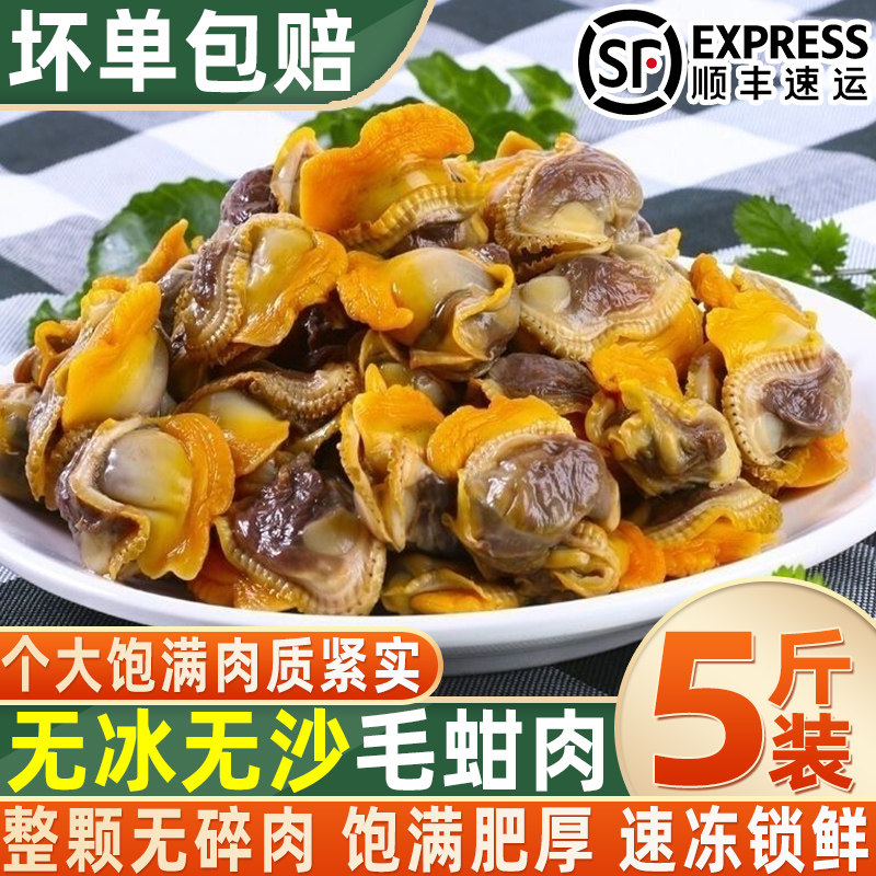新鲜速冻毛蛤肉血蛤肉海货无沙毛蚬子肉雪蛤肉海蛤蜊肉独立包装新