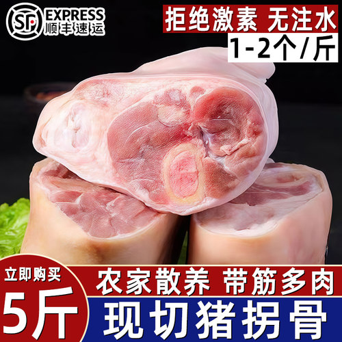 顺丰包邮猪拐骨带皮带筋多肉