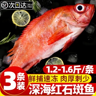 红石斑鱼新鲜鲜活冷冻富贵鱼大眼鱼深海生鲜鱼类顺丰包邮批发