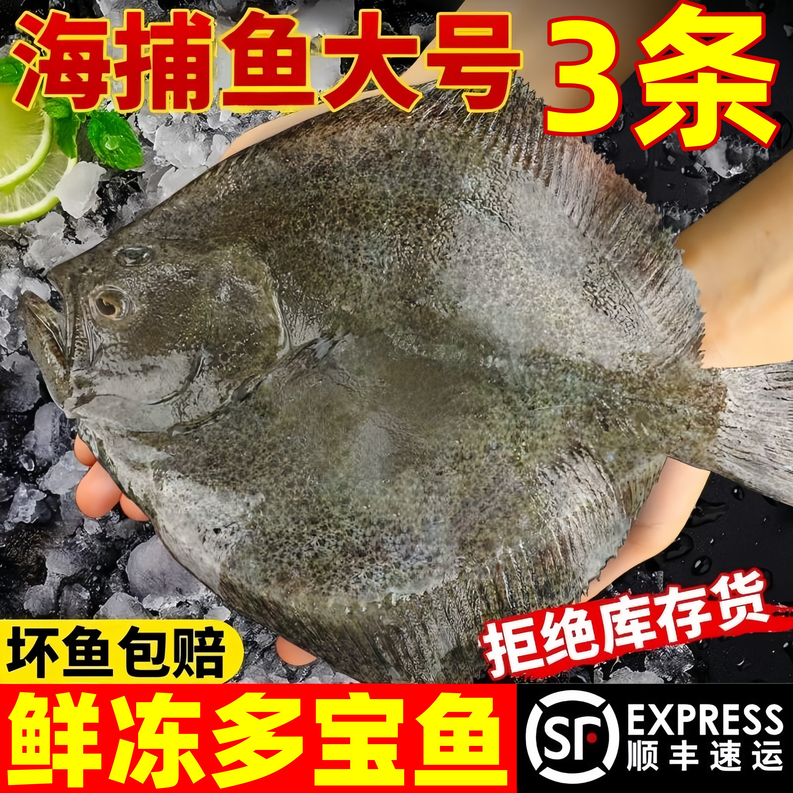 海捕新鲜多宝鱼批发包邮