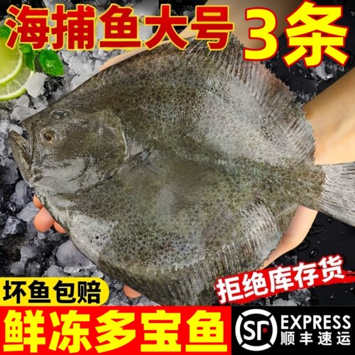 海捕新鲜多宝鱼批发包邮